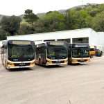 libertas autobusi remiza 6