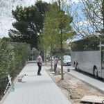 radovi drvored bulevar 10