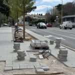radovi drvored bulevar 12