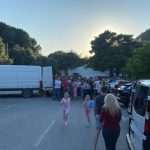 ludilo za domacim jagodama 1