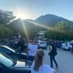 ludilo za domacim jagodama 4