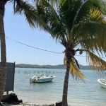 reportaza puerto rico ane mljecke 45