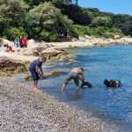 rk dubrovnik beacj bar ponat cistoca eko akcija cisci mandrac 8
