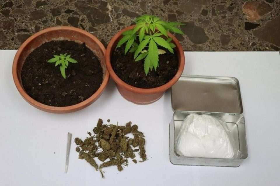 amfetamin marihuana indijska konoplja