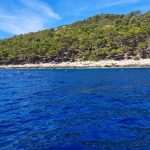 lastovo plemenita periska kolektori 11