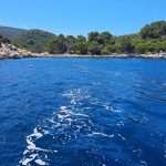 lastovo plemenita periska kolektori 12