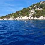 lastovo plemenita periska kolektori
