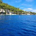 lastovo plemenita periska kolektori 4