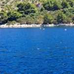 lastovo plemenita periska kolektori 6