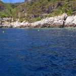 lastovo plemenita periska kolektori 8