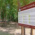 piknik literalna radionica proljece u konavlima 3