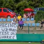 sharksi turnir american football gospino polje 28