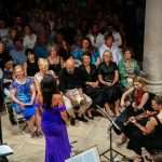 strauss gala knezev dvor dso 5