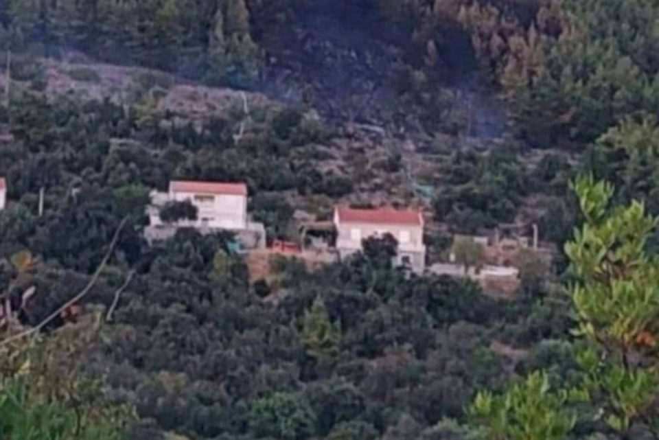 POZAR MLJET 1