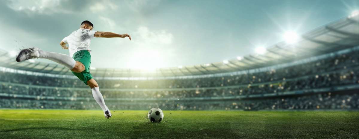 shutterstock 2469222683