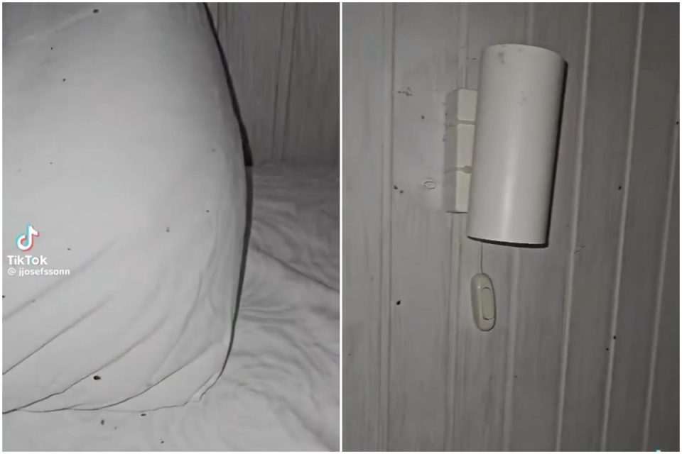 stjenice apartman tiktok