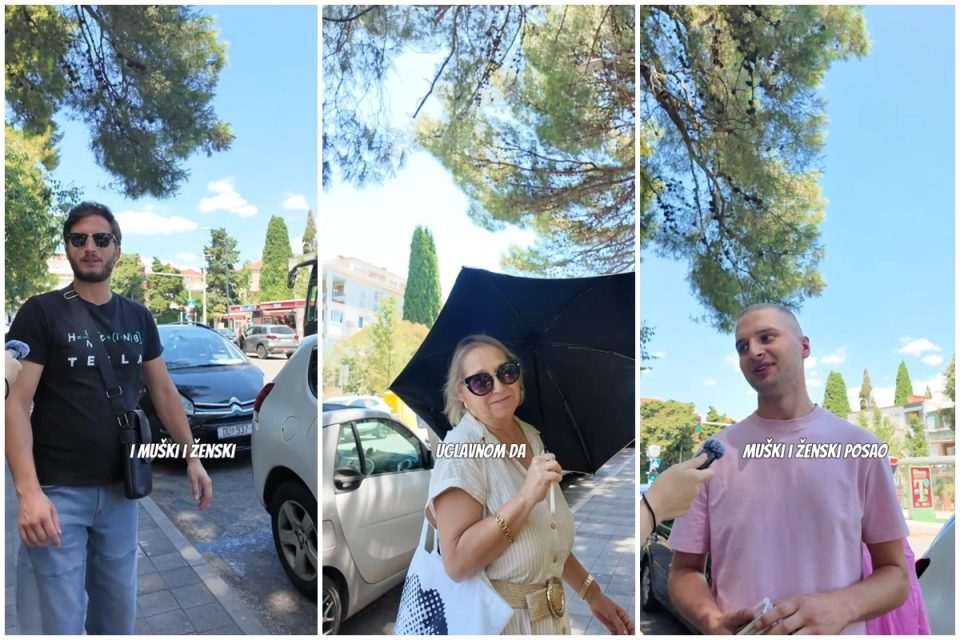 video anketa muski zenski poslovi naslovna