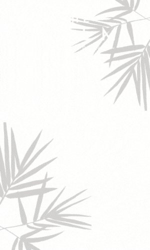 THE PALM 300x500px 1
