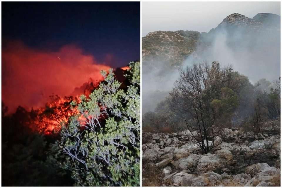 pozar korita mljet naslovna