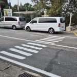 zebra pjesacki trsteno1