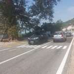 zebra pjesacki trsteno2