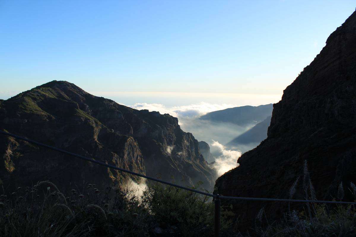 madeira marijana pico do ariero