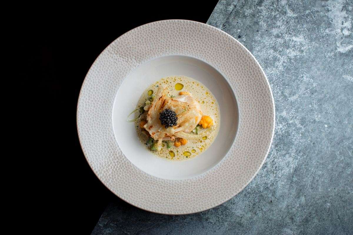 turbot 2