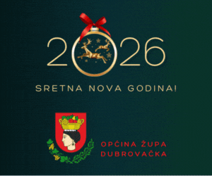 300 x 250 3. banneri