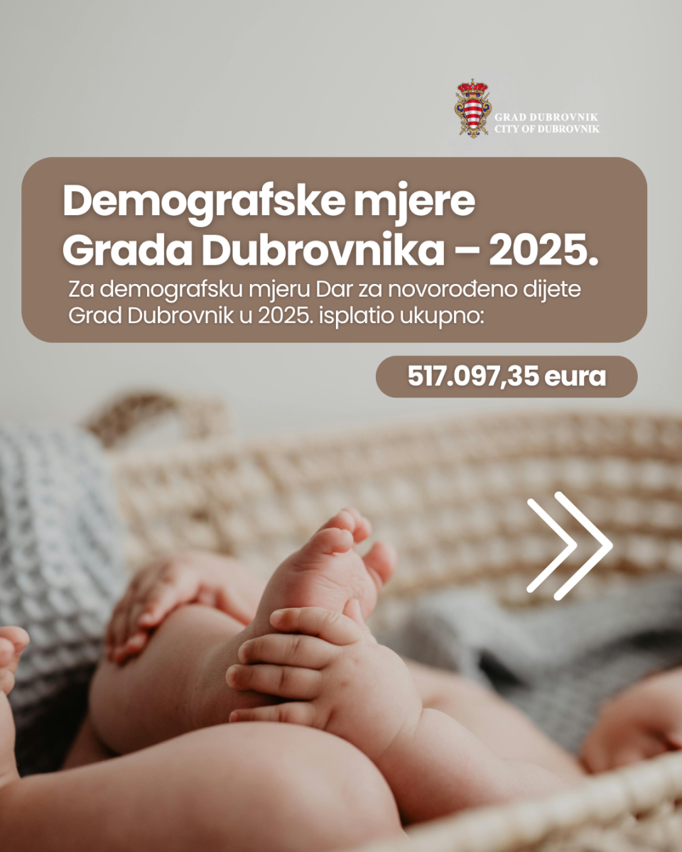 TEMPLATE VIZUALI IGFB 3