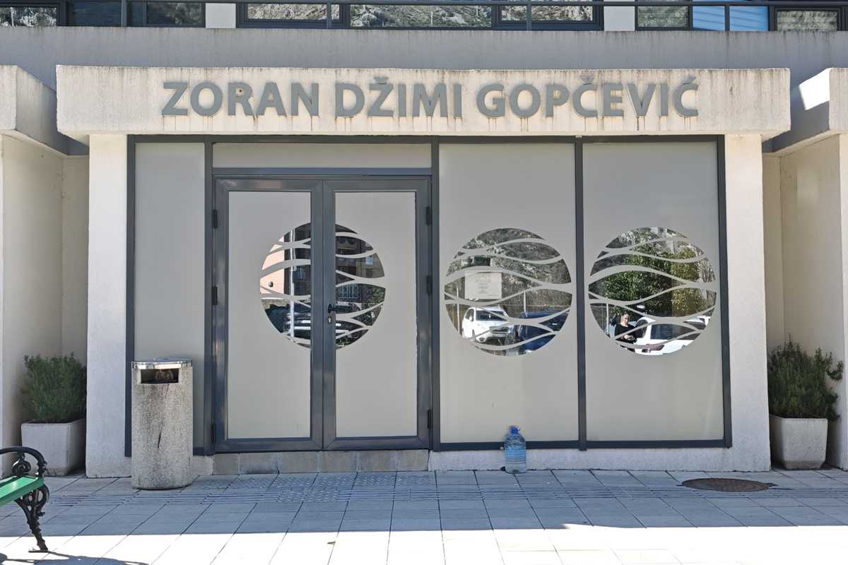 bazen zoran gopcevic