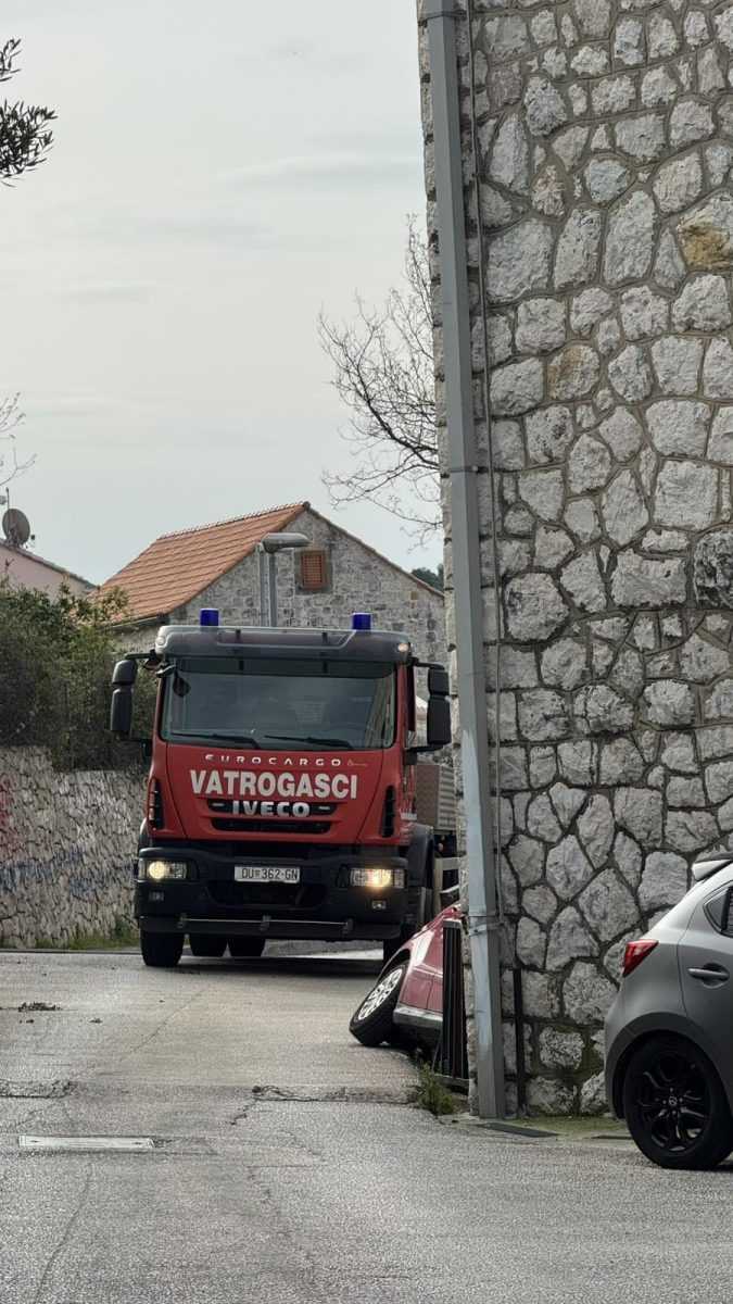 WhatsApp Image 2026 03 19 at 09.23.52 1