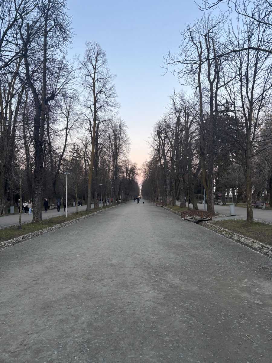 cluj napoca central park