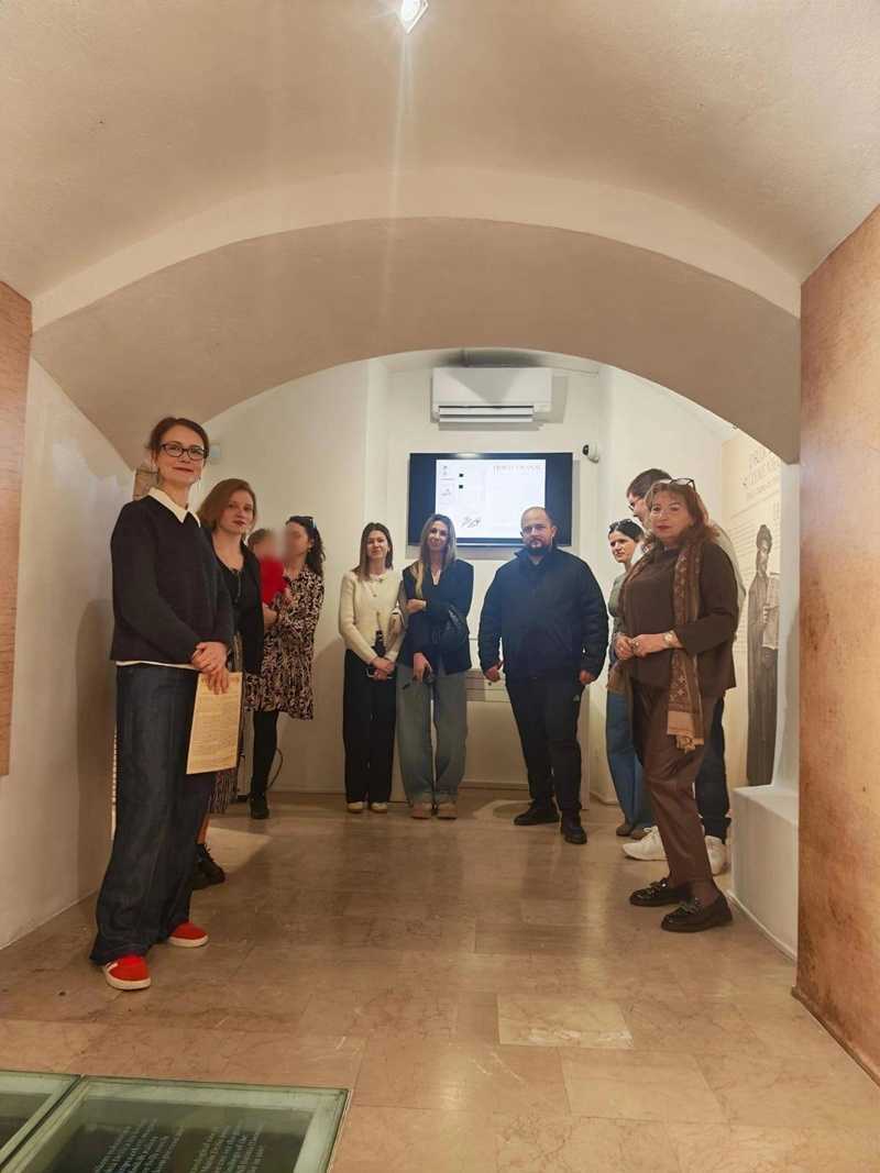 dom marina drzica 5 blur