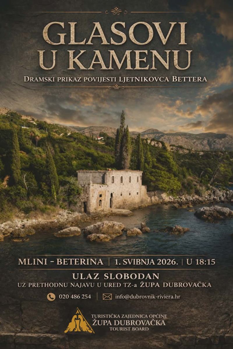 glasovi u glavi plakat