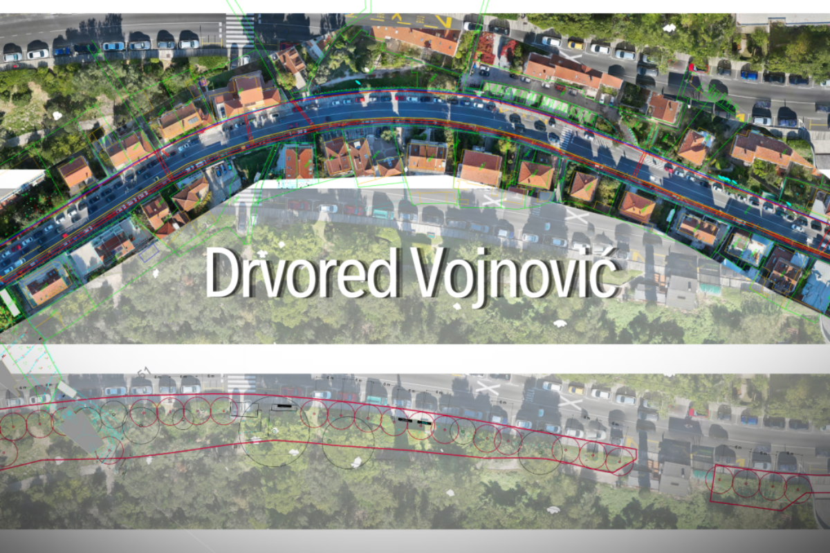 Drvored vojnovic gradski 2