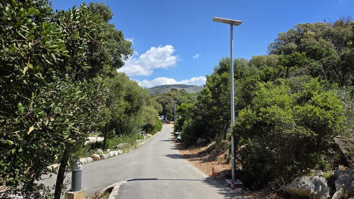 VSPVIDEO03052026 12