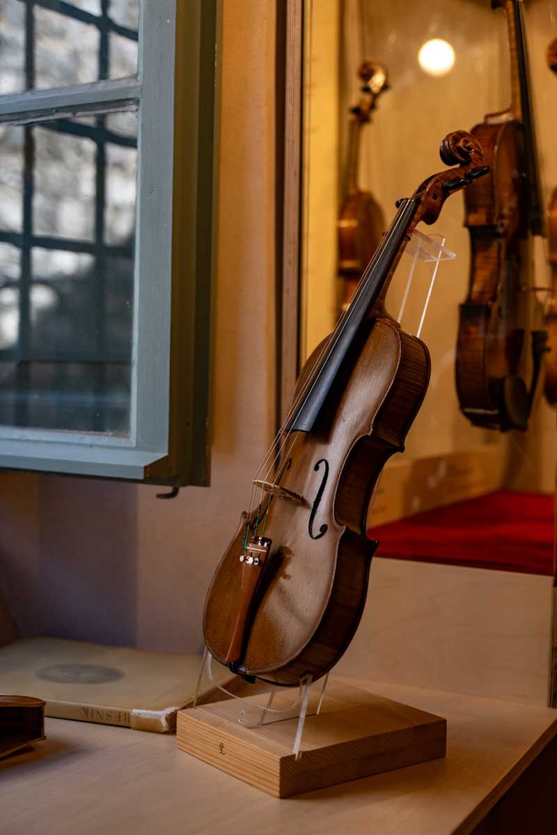 zeljko catic 30